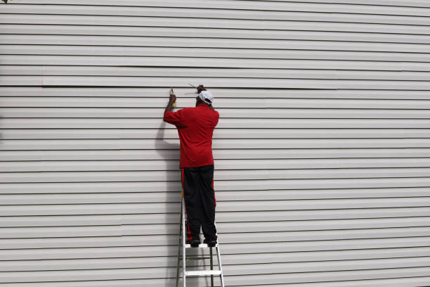 Best Stone Veneer Siding  in Lake Cassidy, WA