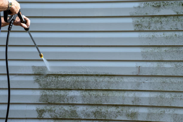 Best Residential Vinyl Siding Installation  in Lake Cassidy, WA