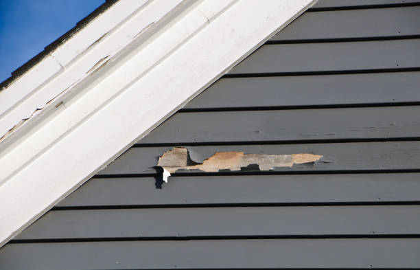 Best Wood Siding Installation  in Lake Cassidy, WA