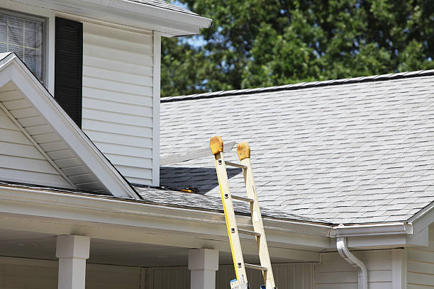 Best Stucco Siding  in Lake Cassidy, WA