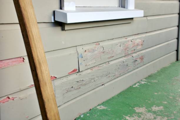 Best Insulated Siding Installation  in Lake Cassidy, WA