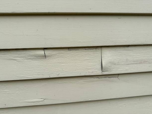 Best Siding for Commercial Buildings  in Lake Cassidy, WA